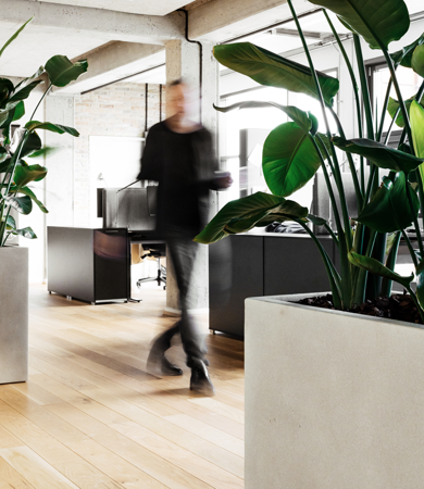 Man walking in an office with plants in the foreground